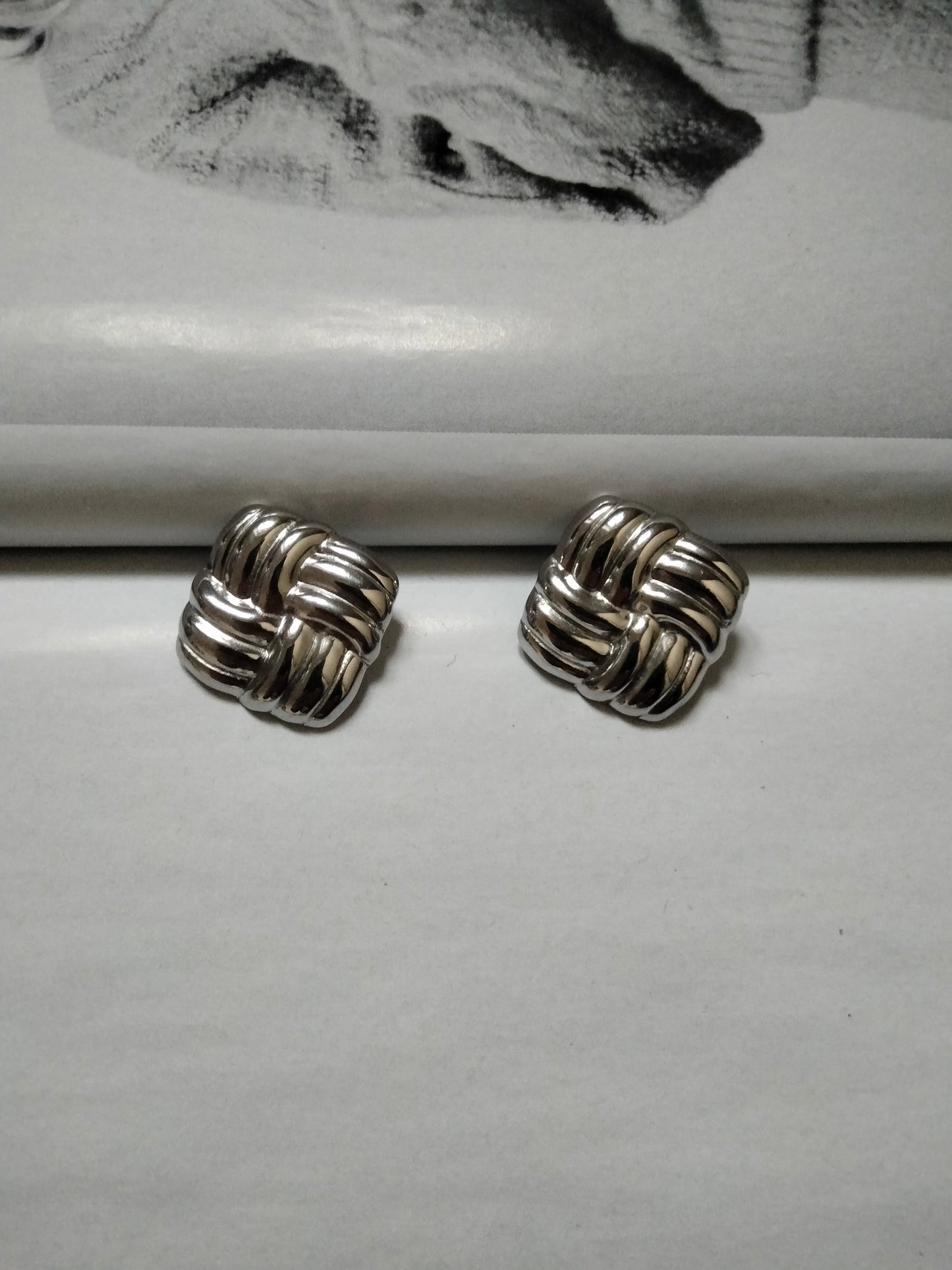 Orecchini silver Diana
